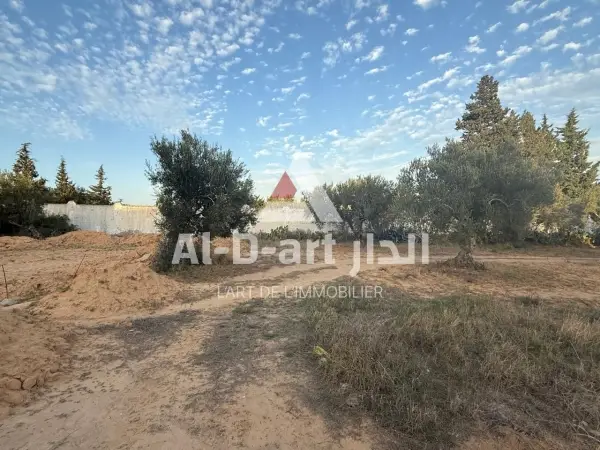 Terrain à vendre